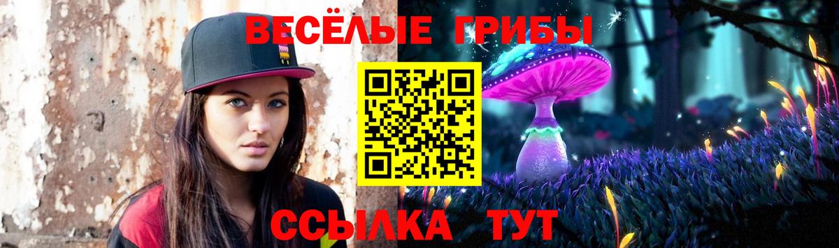 Тосно  Псилоцибиновые грибы MAGIC MUSHROOMS  Галлюциногенные грибы Psilocybine cubensis  Вход с VPN 