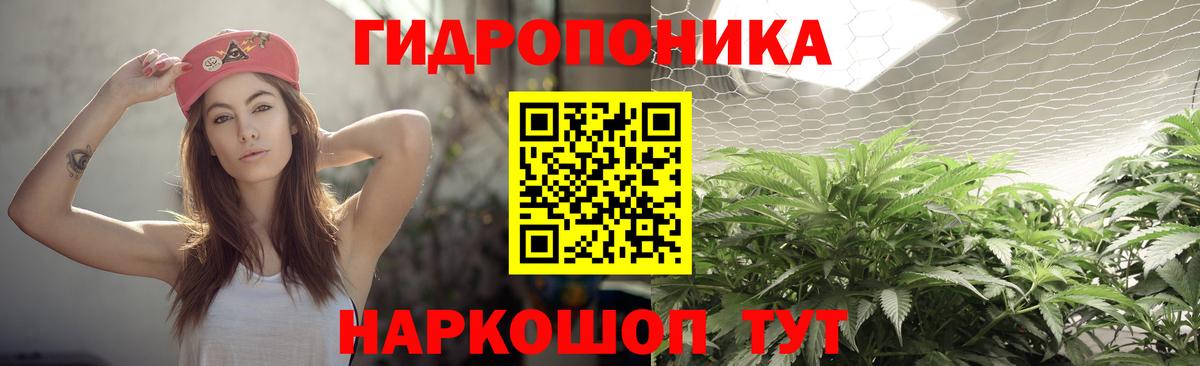 Тосно  Бошки марихуана OG Kush  Марихуана AK-47  Бошки марихуана LSD WEED  Вход с VPN 